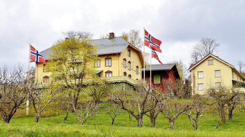 Bilde av Aulestad 17. mai